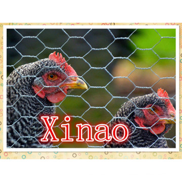 Cerca de fazenda para frango Wire-Xinao marca